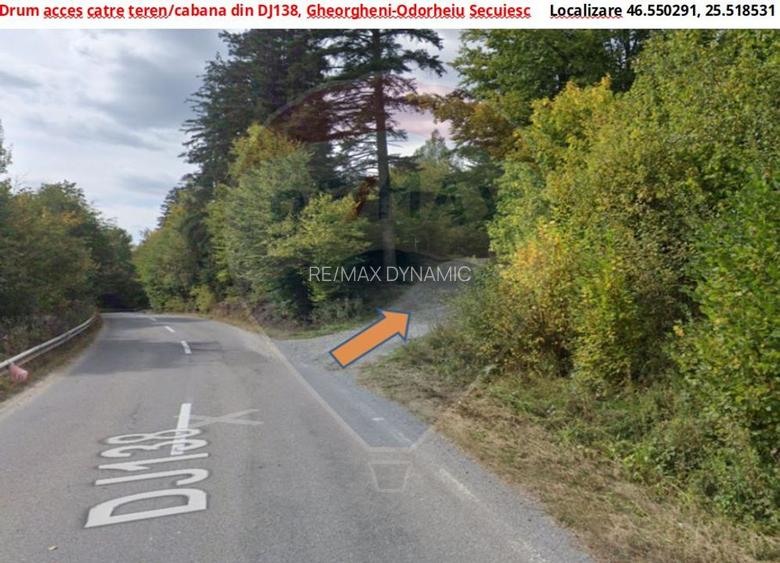 Vânzare teren extravilan, 4 ha pădure, zona turistică Liban, Harghita - 2