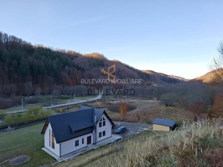 Proprietate cu potențial turistic în zona montană a Țării Lăpușului - 37