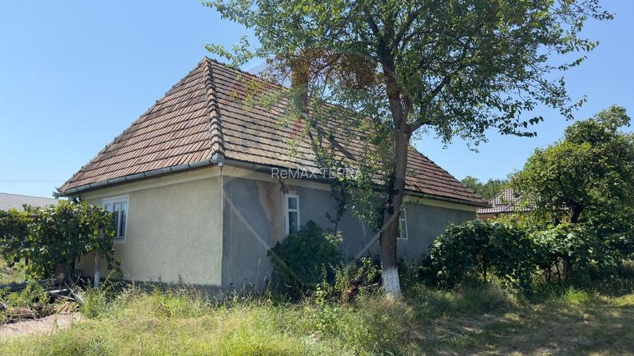 Casa cu teren De Vanzare in Ariesul de Padure - 5