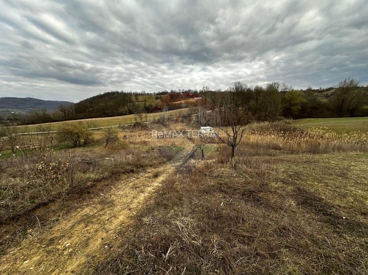 Teren cu panorama superba în Berchezoaia + bonus rulota - 5