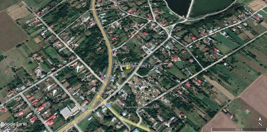 Ideal angrosiștilor din centrele comerciale,  Europa, Dragonul Rosu, Doraly - 3