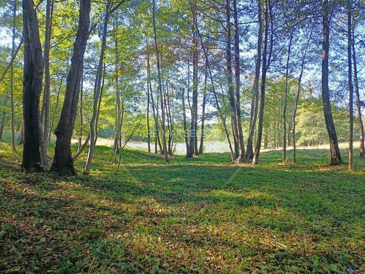 Vânzare casa la munte - zona turistica - Baia de Fier - 33