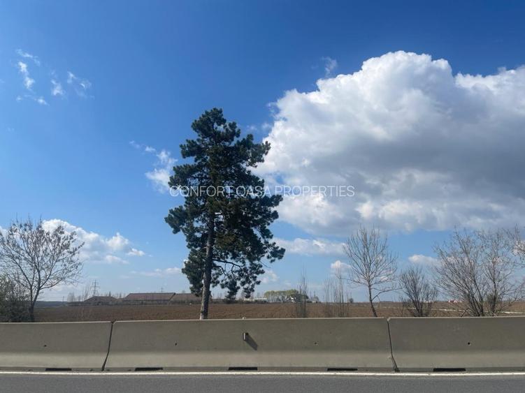 Tancabesti DN 1 si Equestria, vis-a-vis de Scient 3 loturi de teren - 2