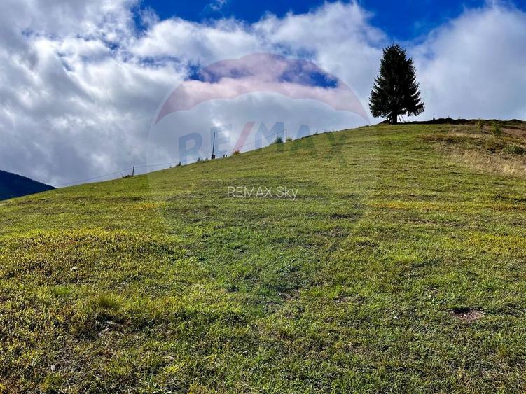 Oază de liniște în inima Apusenilor – teren 6.500 mp Arieșeni - 3