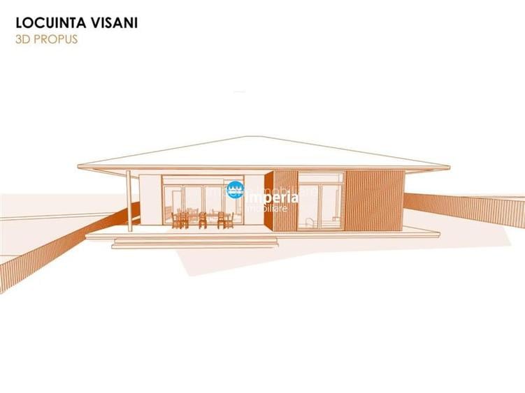 Proiect modern, plan parter cu 1000 mp teren – oportunitate in Bucium Visan - 5