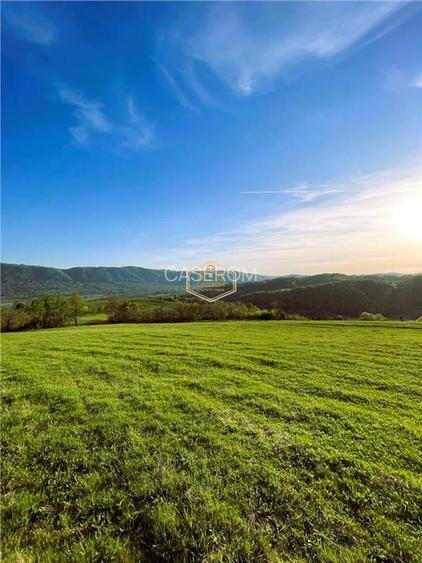 Teren de 9.500 mp in Maramures | Varf de deal, priveliste de pus in rama | Retre - 7