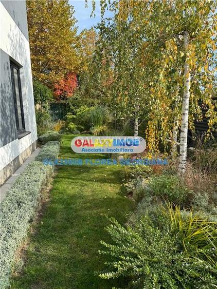 Vila exclusivista de inchiriat Otopeni - Complex Natatie - 5