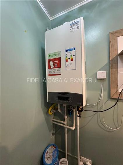 Casa de vanzare, la 2 km de Primaria Tomesti - 12