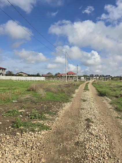 Vanzari terenuri in Lazu - 2