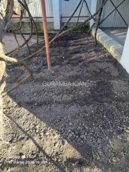 CASA  COMPLET PREGATITA PENTRU LOCUIT, CURATA COMPLET RENOVATA   - 14