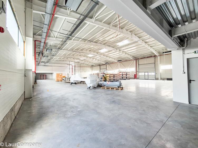 Hale,spatii industriale Albota,Pitesti Arges - 7