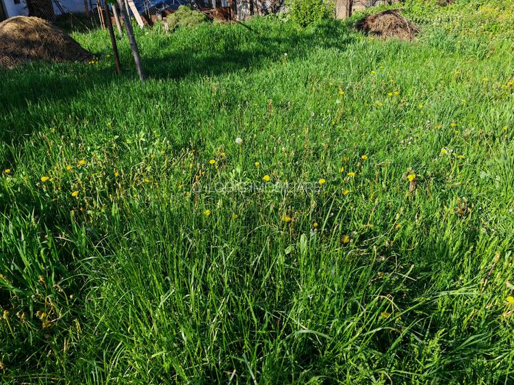 Teren rezidential intre case zona Mihai Eminescu - 5