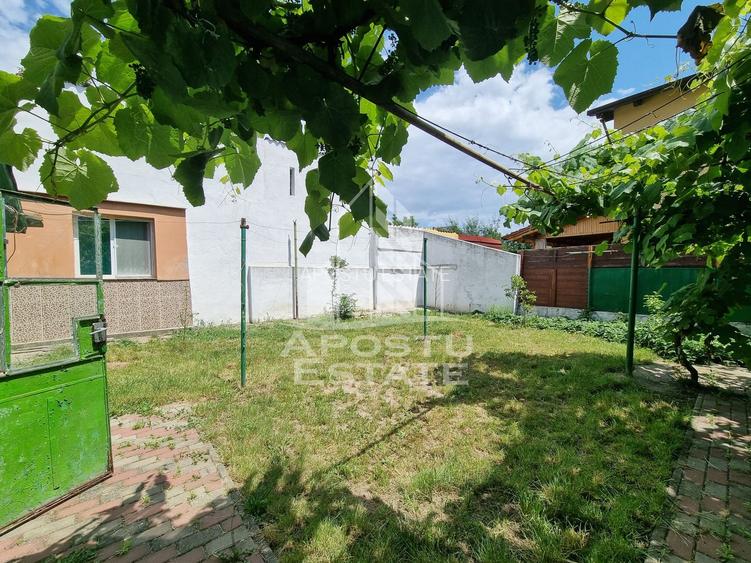 Casa individuala cu 3 camere in Calea Sagului, cu curte spatioasa - 12