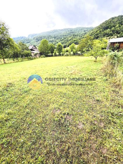 TEREN  intravilan comuna  TARCAU - STRAJA - 10