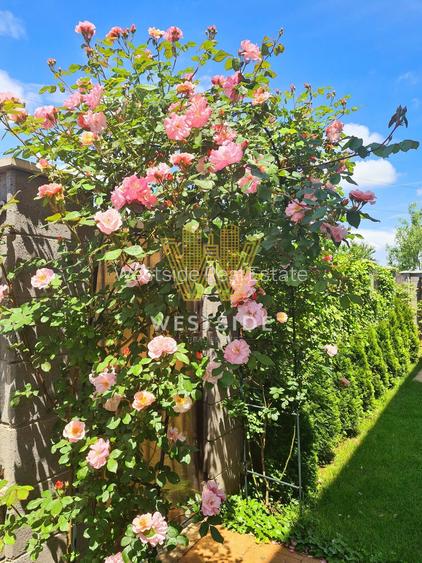 Casa de vanzare, mobilata si utilata in Dumbravita, Timisoara - 32