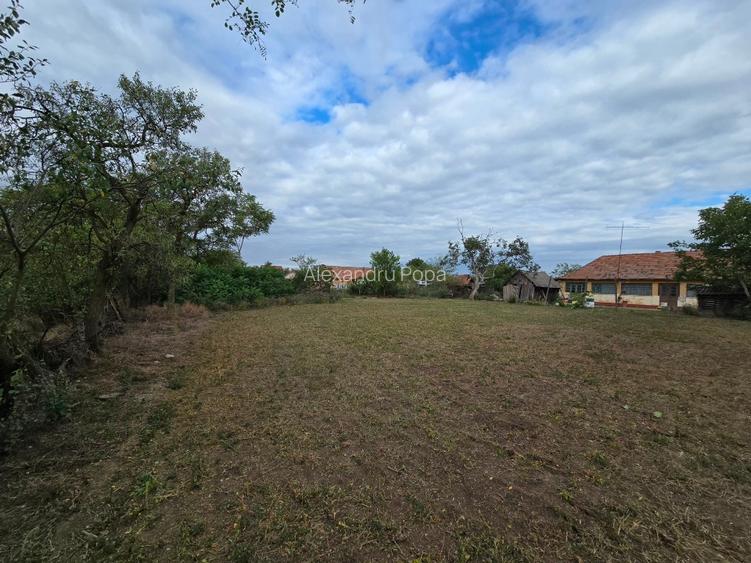 Casa individuala cu teren generos în zona liniștită - 7