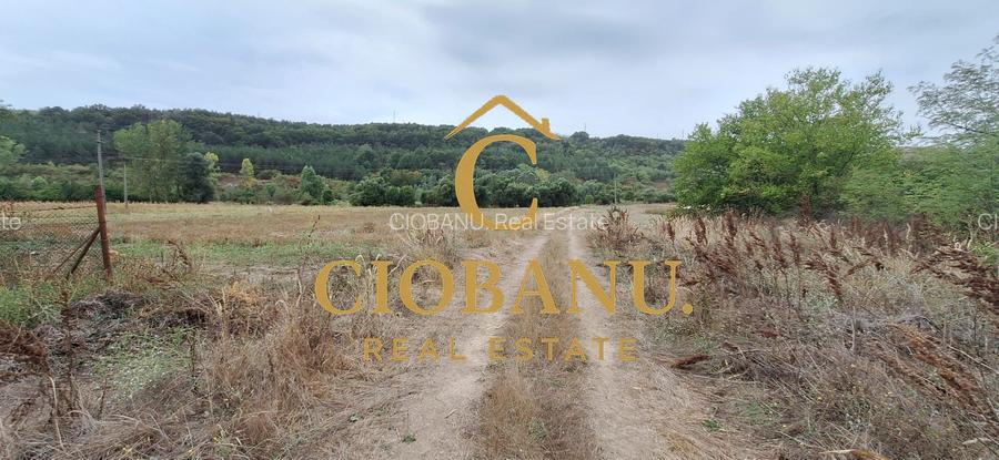 Teren Intravilan/Extravilan de vanzare in Bradestii Batrani - 9