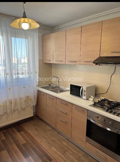 Chirie Mircea Cel Batran 43 - 2