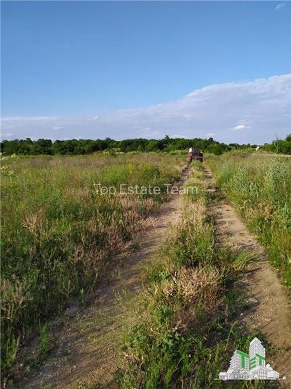 Teren intravilan de vanzare 28.200 mp Bucuresti Sector 6 - 6