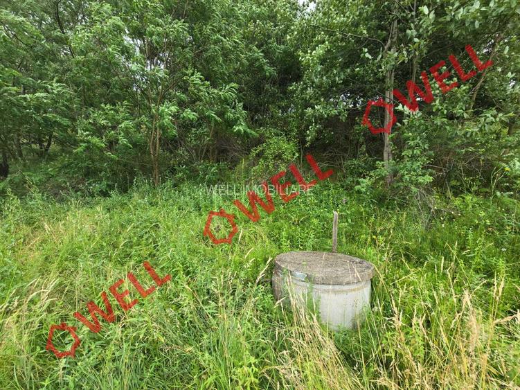 De vânzare teren extravilan loc. Sărămaș! - 2