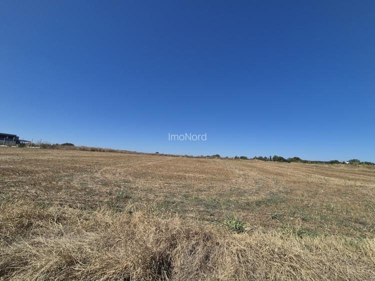 Teren ideal pentru rezidențial – Izvorani, zonă premium lângă lac - 5