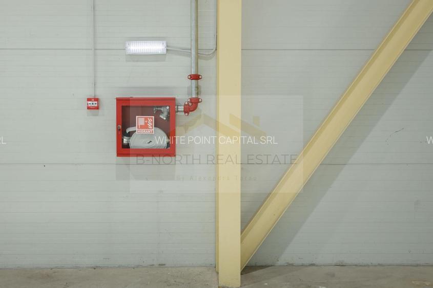 Hala industrială 2.000 mp • Depozitare / Producție • Rampe încărcare • Otopeni - 6