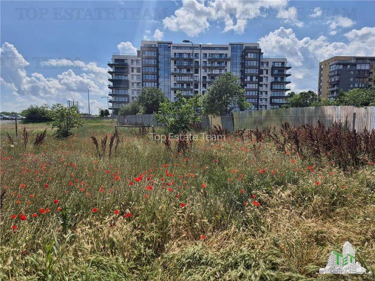 OPORTUNITATE INVESTITIE VILA CU 3000 MP PALAZU MARE - 9