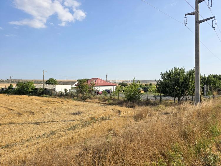 Ferma si casa de vanzare - teren intravilan, la 20min de Constanta! - 25