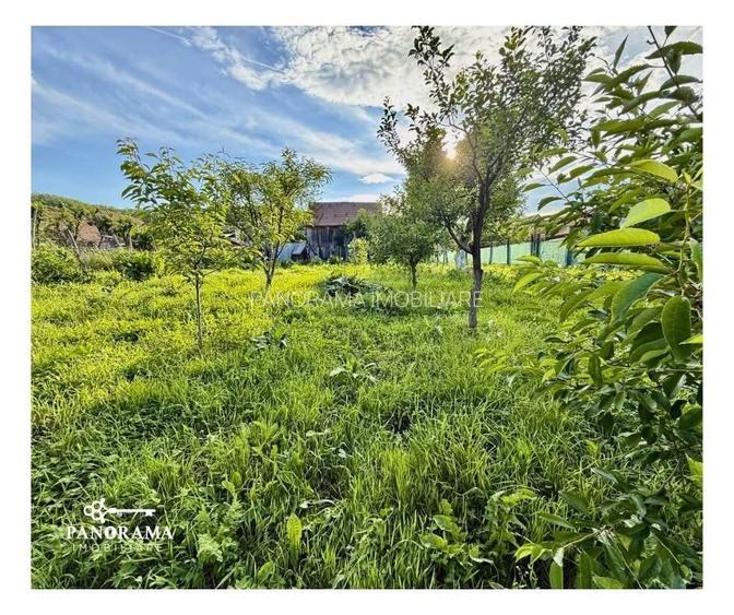 Casă tradițională la țară, în Dârlos - 15