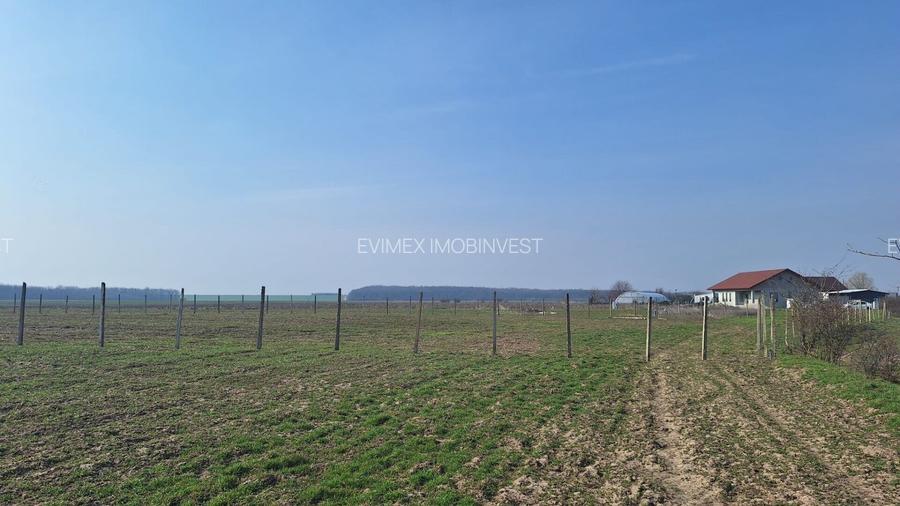 Teren intravilan -Balaceanca - 6