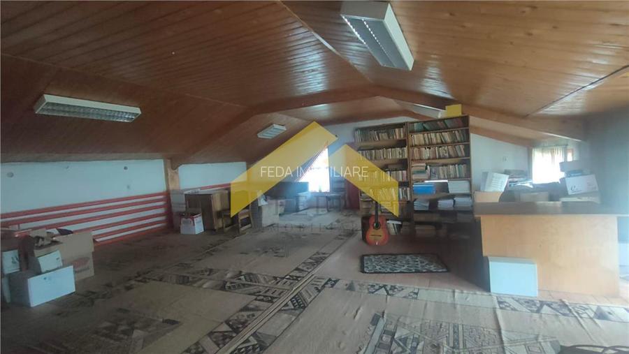 Teren 1,8 ha plus cladiri de vanzare in localitatea Sebis, Arad - 6