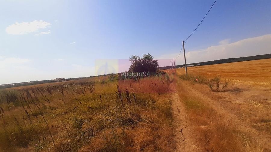 Teren pentru casă/case în Brănești pe strada Toporași - 12