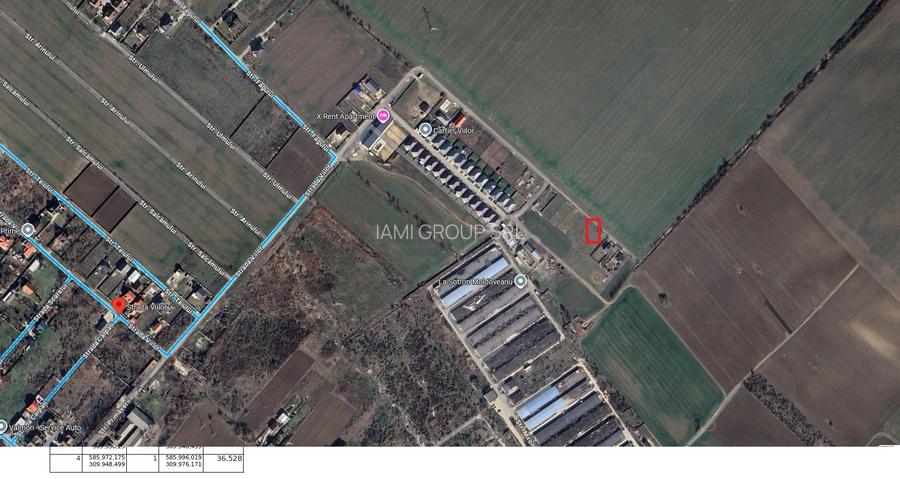 Teren perfect pentru CASA - 550 MP COMUNA 1 DECEMBRIE, ILFOV - 5