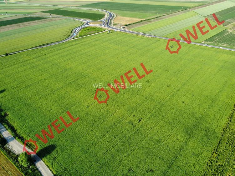 Teren extravilan de vânzare în Chichis! - 5