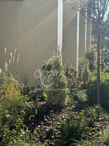 4 camere, 180 mp utili, lux, Promenada mall - 13