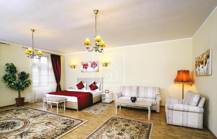 Hotel de inchiriat Piata Mica Sibiu | Afacere turistica activa - 16