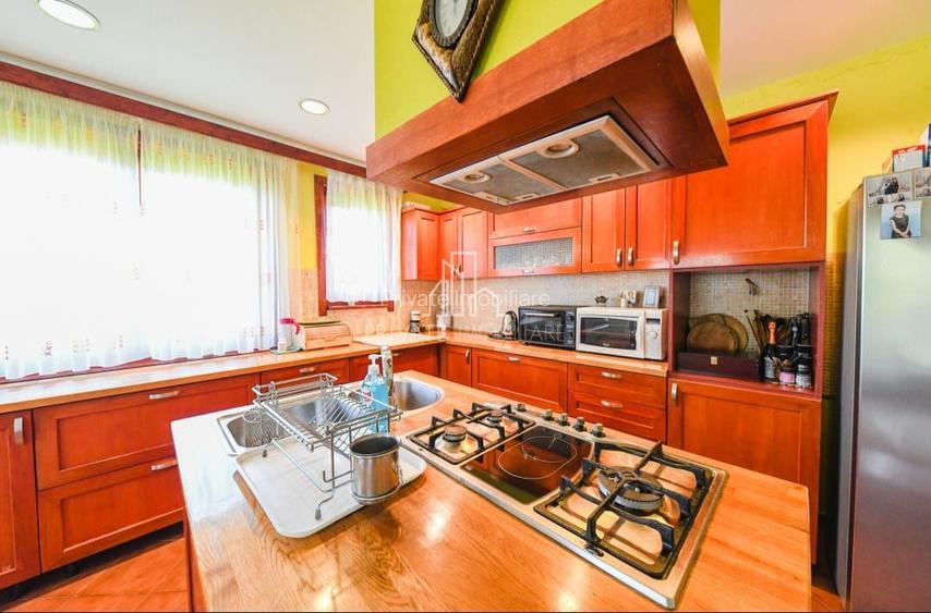 Vila/Proprietate Speciala, 500mp utili, 3300mp teren, Sangeorgiu de Ms - 25