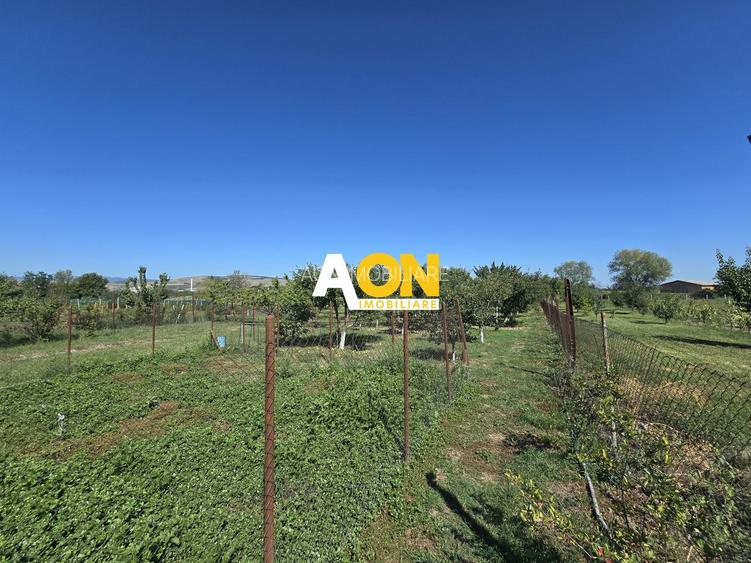 Casa 5 Camere 1700mp Teren, 10km de Alba Iulia - 22