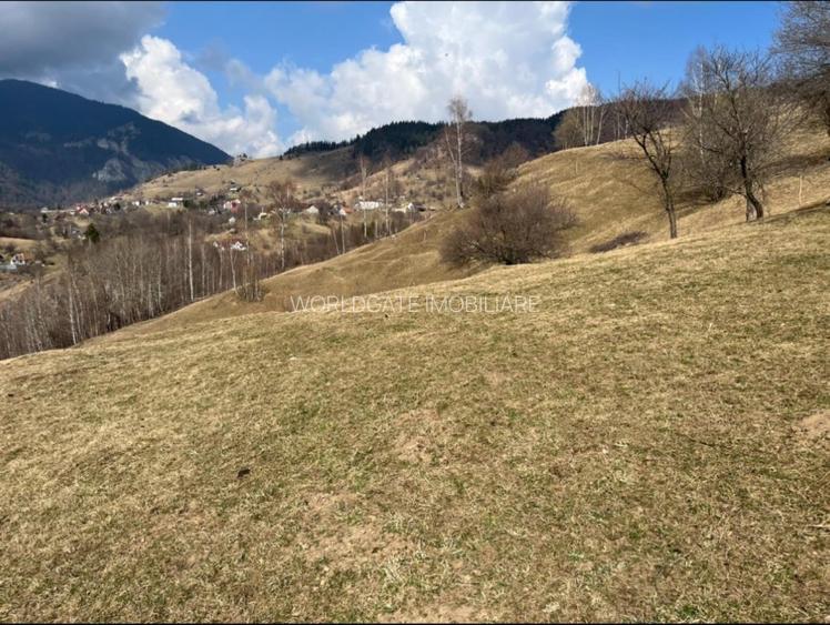 Vanzare Teren cu Punct de Belvedere in Moieciu zona Magura-Pestera - 5