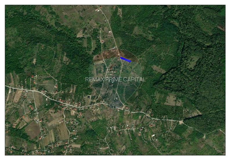 Teren intravilan de vânzare 915 mp – Săldăbagiu de Munte - 2