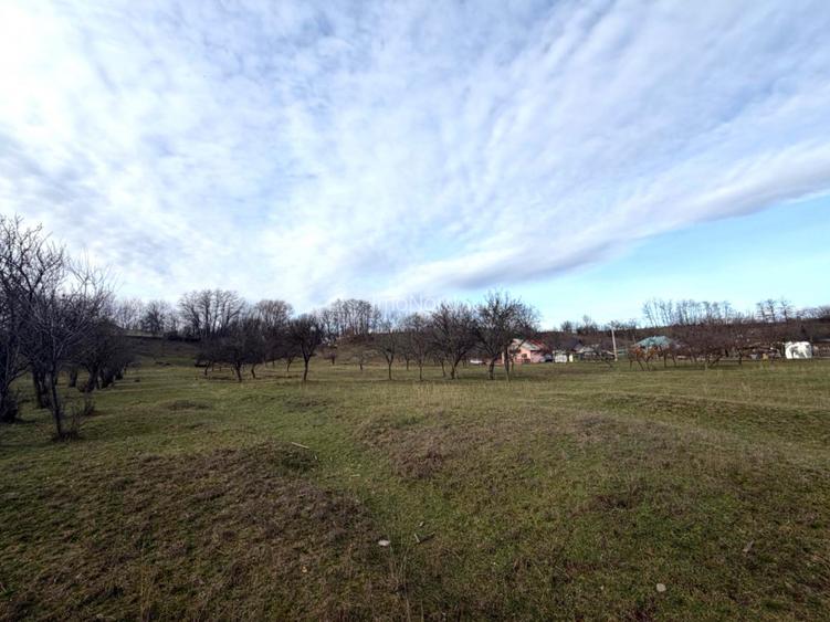 Teren intravilan  Vălenii de Munte – 9.123 mp | Deschidere 45 ml | Lângă râul Te - 4