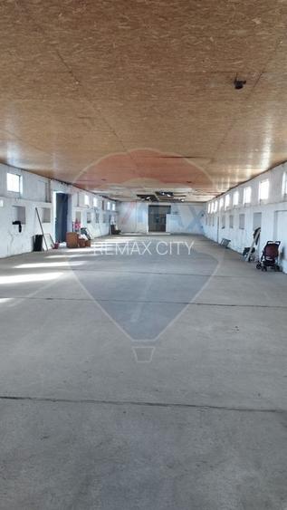 Spațiu industrial/hala de  vanzare - Piatra Neamt - 6