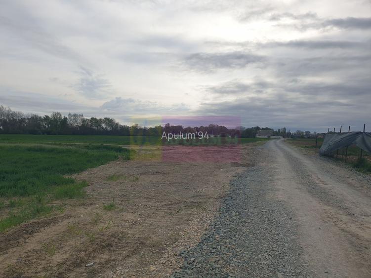 Teren ideal dezvoltare imobiliară în Măgurele strada Atmosferei - 9