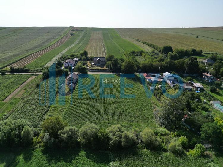 Teren intravilan de vânzare, Sat Bogdănști, Com. Traian - 5