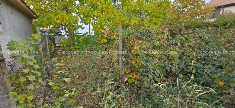 Teren  715  mp  intravilan Petresti - 18