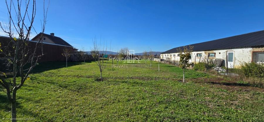 Teren de vanzare, Albesti, Sighisoara - 5