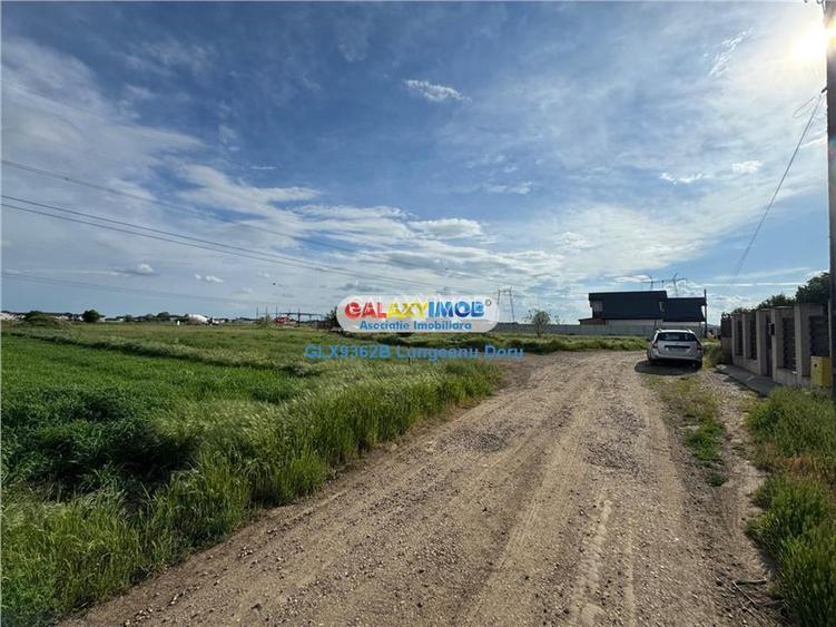 Teren intravilan 1622mp, Lidl Berceni, Utilitati Gaz Electric, 50E mp - 6