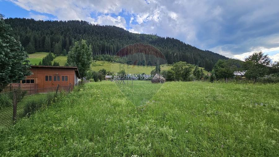 Casa 225 mp, teren intravilan 4822 mp C. Moldovenesc, Suceava - 15