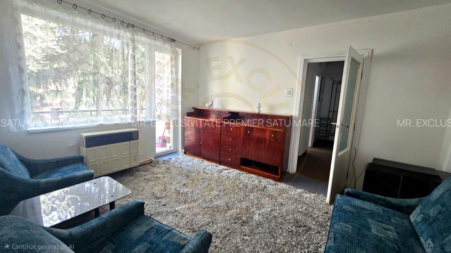 Chirie 2 Camere Satu Mare Central - 4