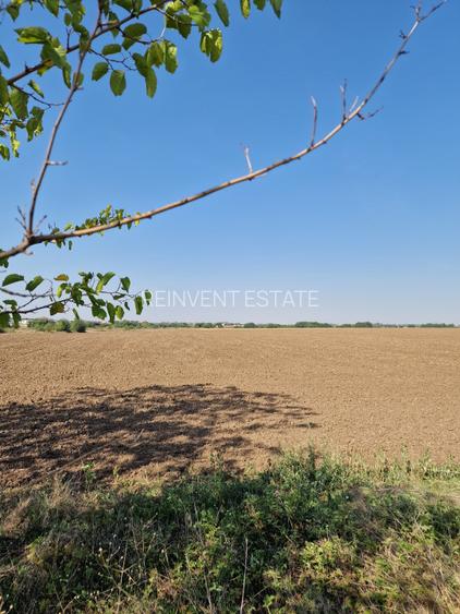 De vanzare! Teren (9100 mp) in Tunari! - 8